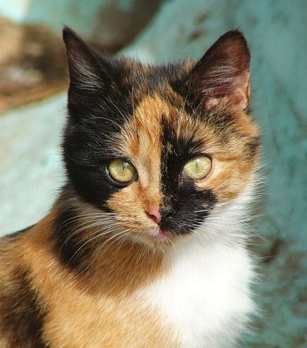 Наталия Морозова