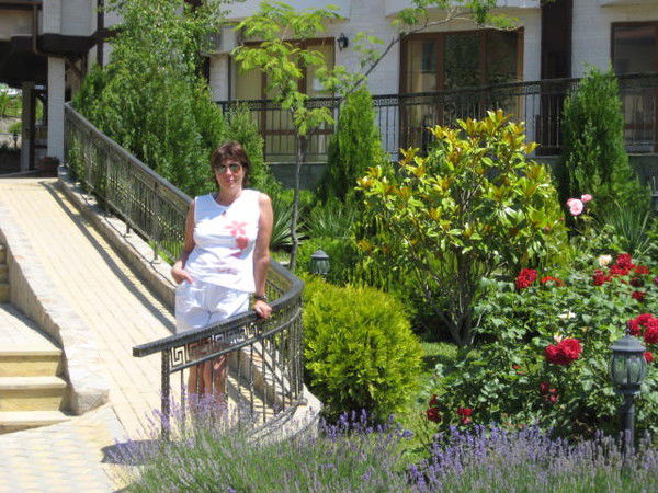 Елена Вольнова