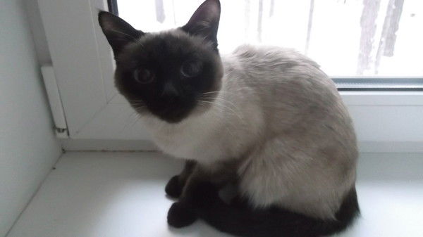 Маргарита Христовская