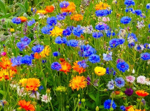 Татьяна Гайдукова