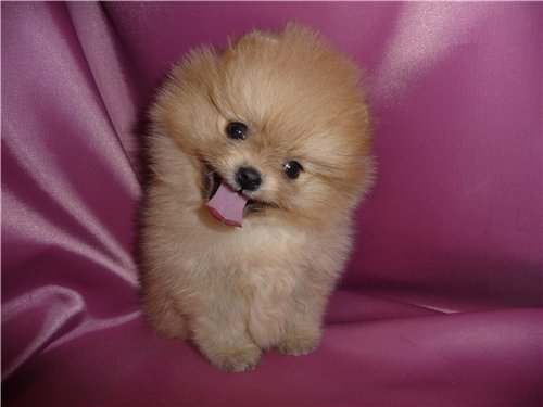 Людмила Одинцова