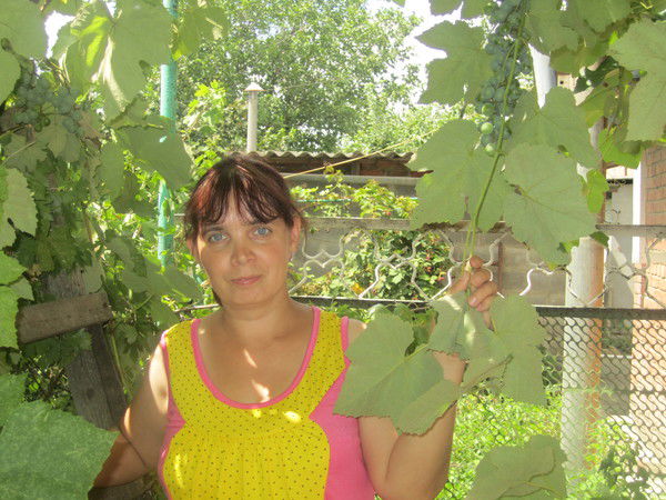 Любовь Любовь