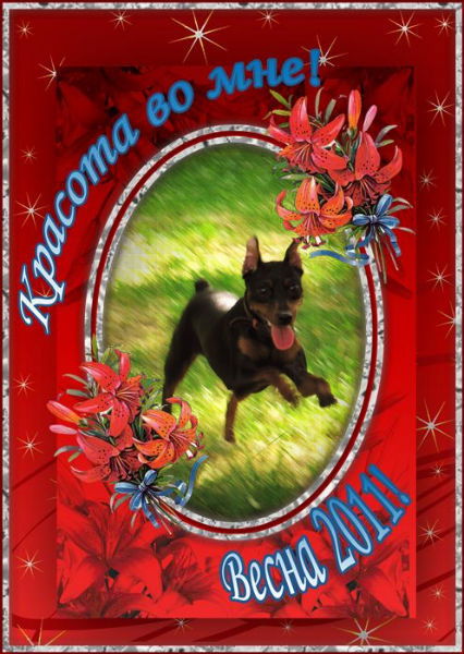 Татьяна Замалаева