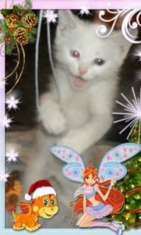 Лариса Мажитова