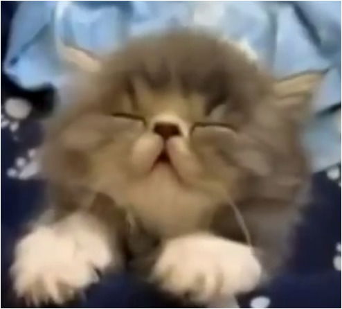 Умзахрат Салахбекова