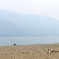 Светлана Щербинина