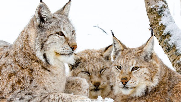 Екатерина Егорова