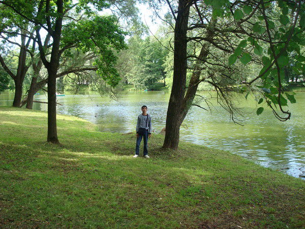 Тофик Алиярзаде