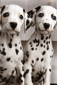 Таисия Мельникова