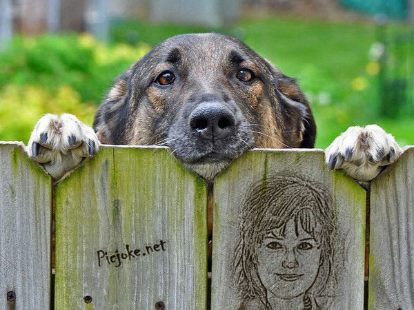 Елена Валихина