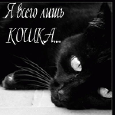 Анастасия Емельянова