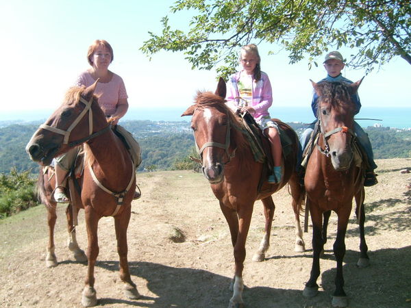 Елена Синицина