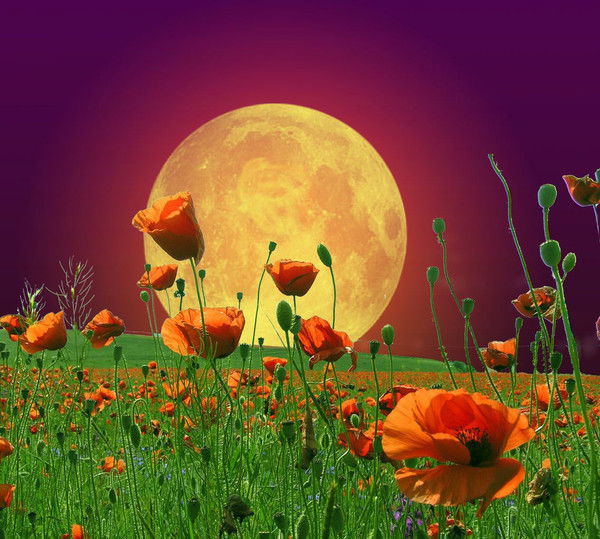 Залия Рахимова