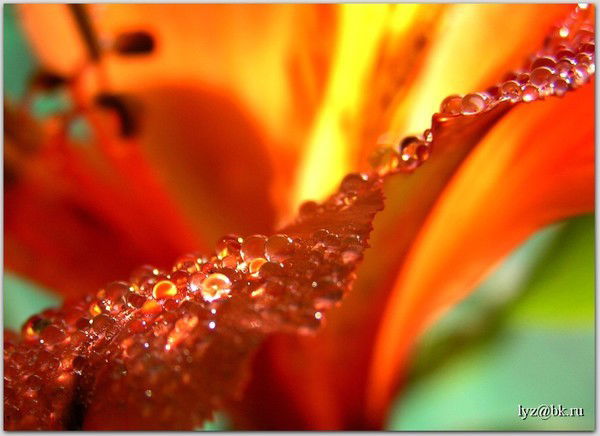 Мунира Габбасова