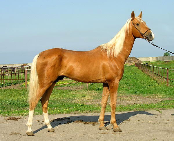 Марина Васильева