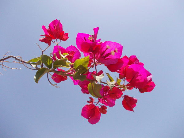 Евгения Чудинова