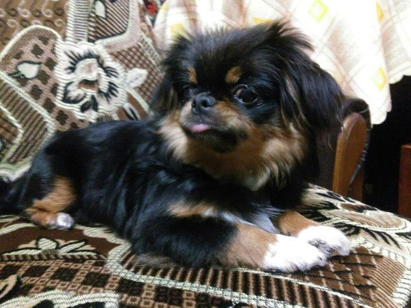 Светлана Мулык(Беляева)