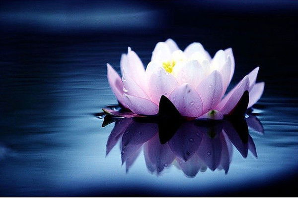 Мария Щавелева