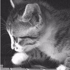 Лариса Архипова