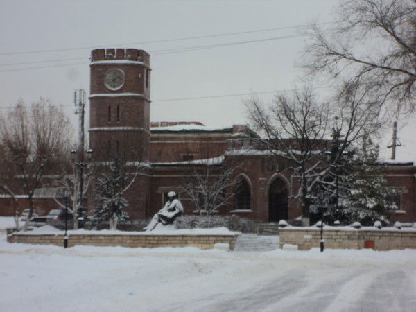 Алена Сапрыкина