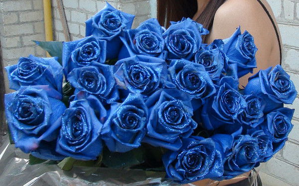 Лидия Куракина