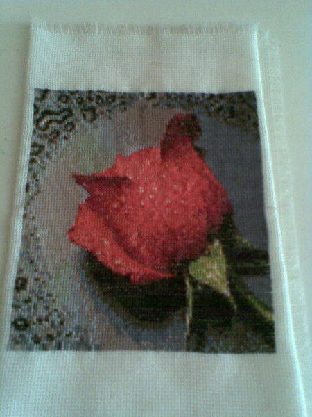 Наталья Бобина