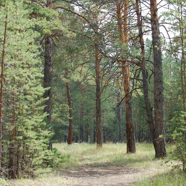 Жанатай Кожакенова