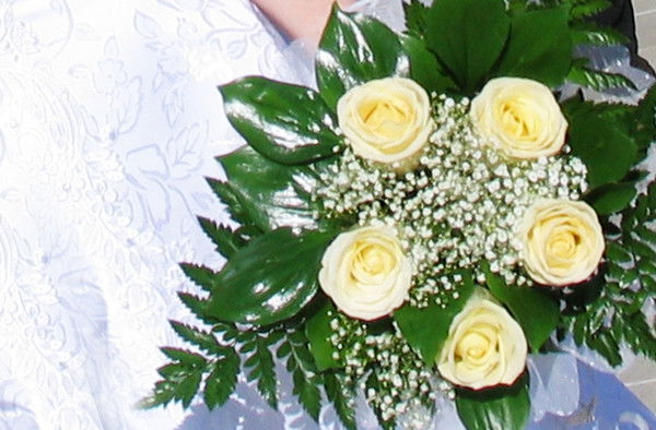 Дарья Глазкова