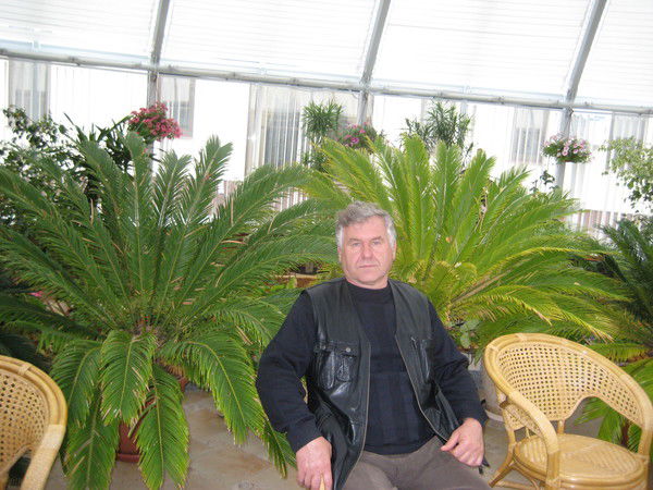 Николай Матвеенко