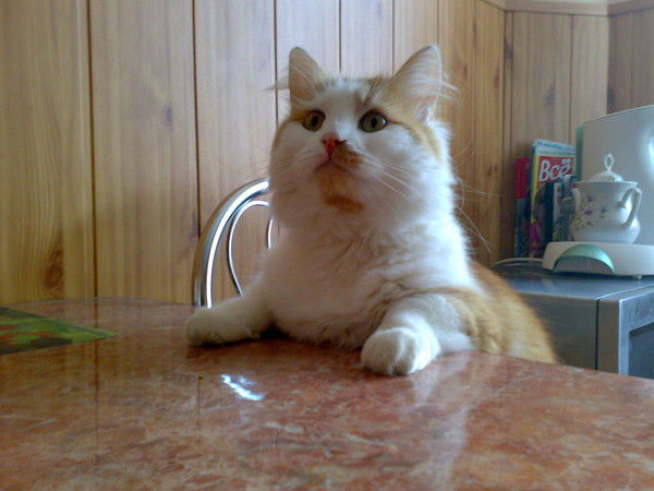 Ирина Зотова