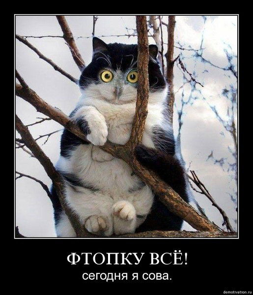 Светлана Череватенко