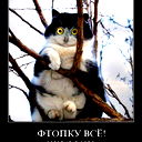 Светлана Череватенко