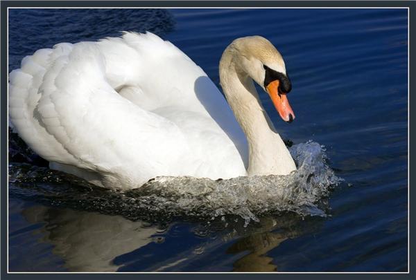 Людмила Кобзева