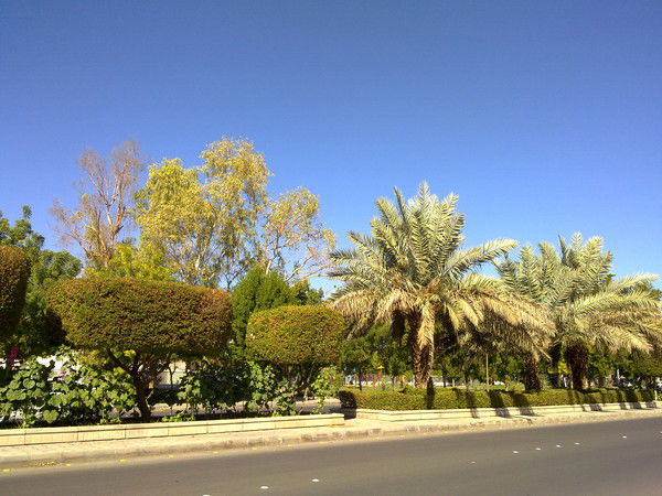 Илья Грудинин