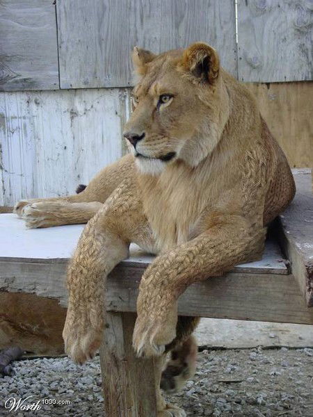 Герман Иванов