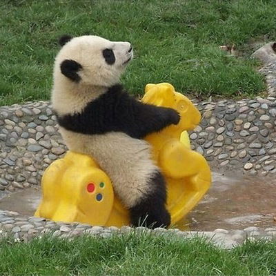 Дима Ольский