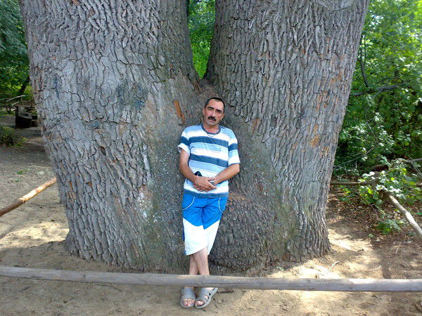 Виктор Турчанович