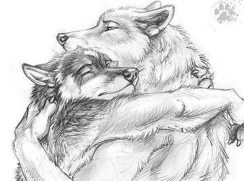 Залим Мацухов