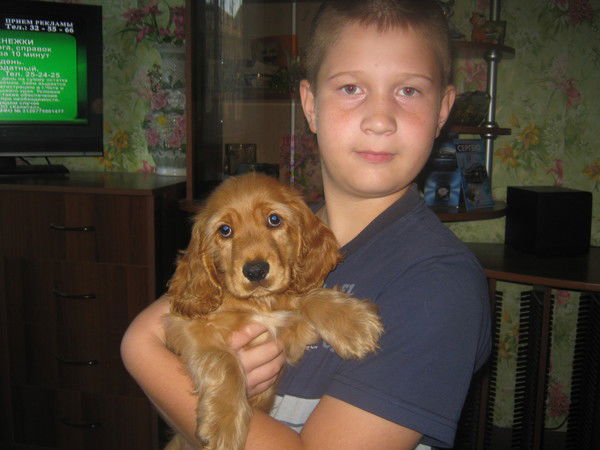 Илья Соловьёв