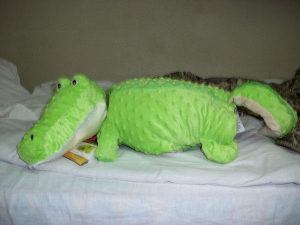 Юлия Сладкая