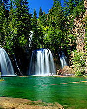 Дилноз Рахманкулова