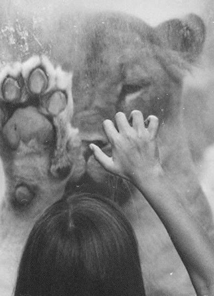 Кристина Чечеткина