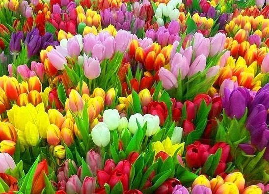 Наталья Смашная