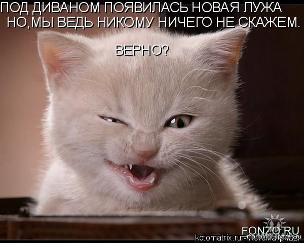 Ольга Куфенко