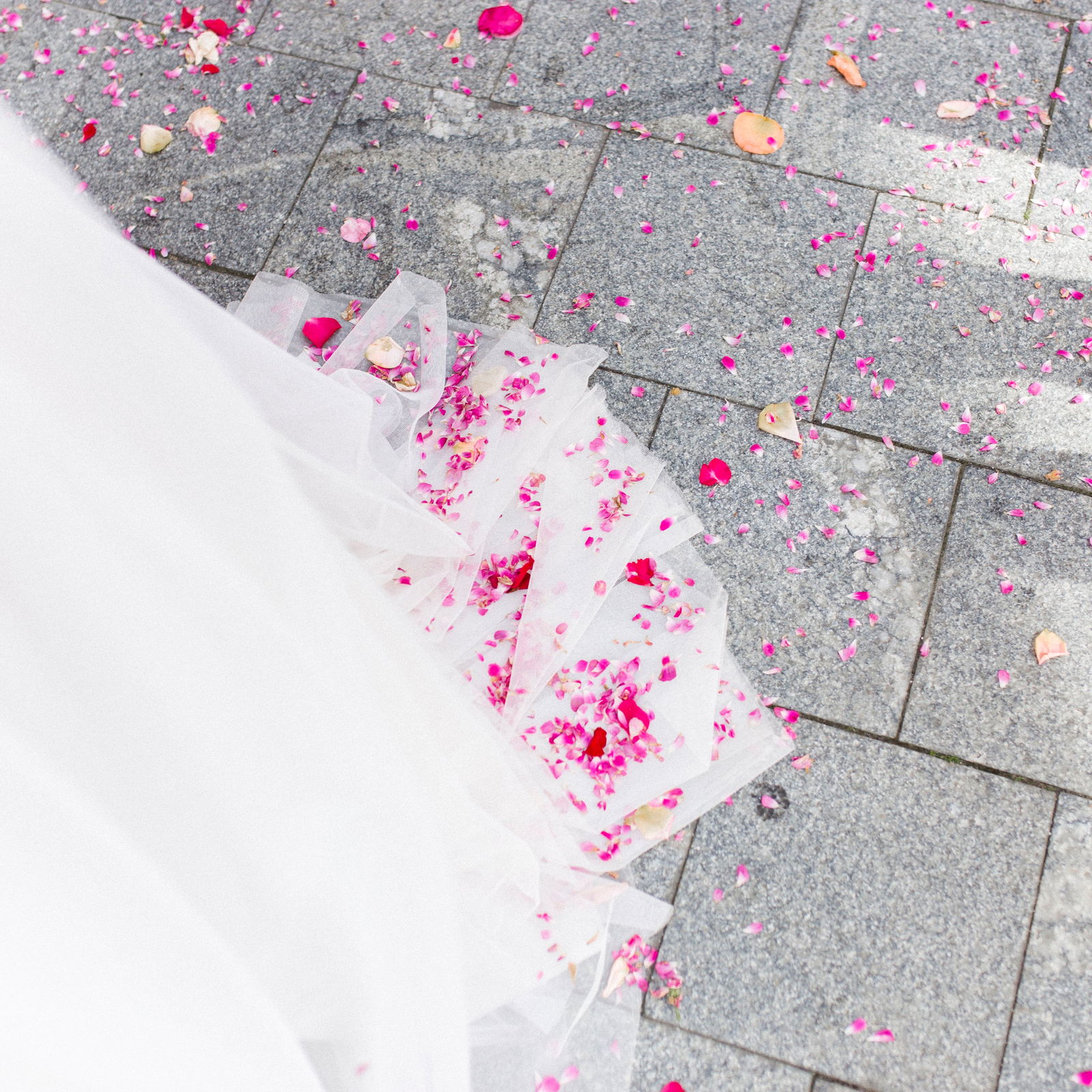 Дарья Чемерко