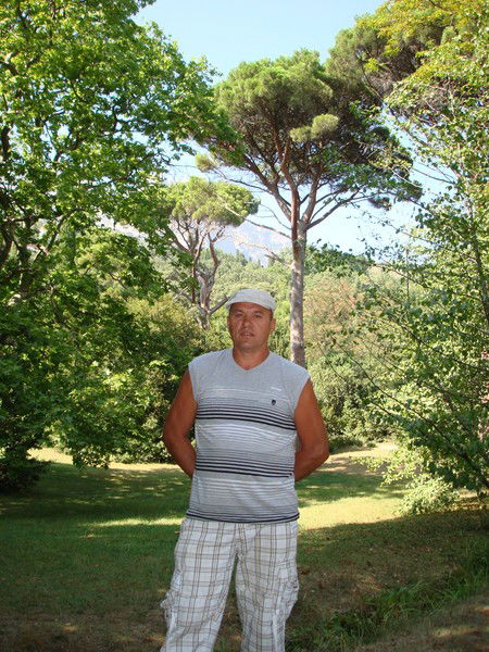 Александр Коровников