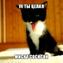 Андрей Соколов