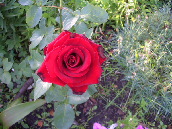 Екатерина Мызникова