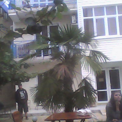 Ираида Анорьева