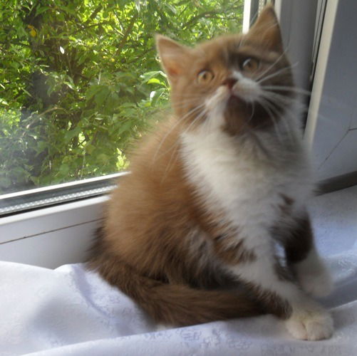 Валентина.... Д...